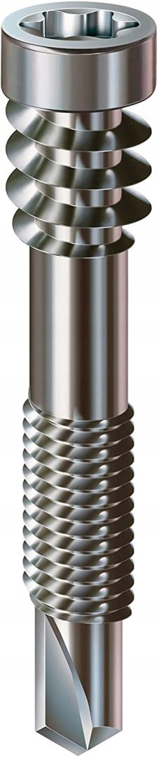 WKRĘT TARASOWY A2 (100) TX 5.0*48MM DO ALUMIN.