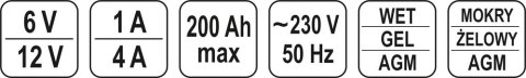 PROSTOWNIK ELEKTRONICZNY 12/6V 200A
