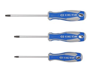WKRĘTAK TORX Z OTWOREM T10 4.0*75