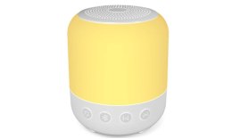 LAMPA PRZENOŚNA Z GŁOŚNIKIEM 350LM, LSRB 20 FUN